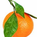 2949