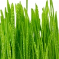 2887